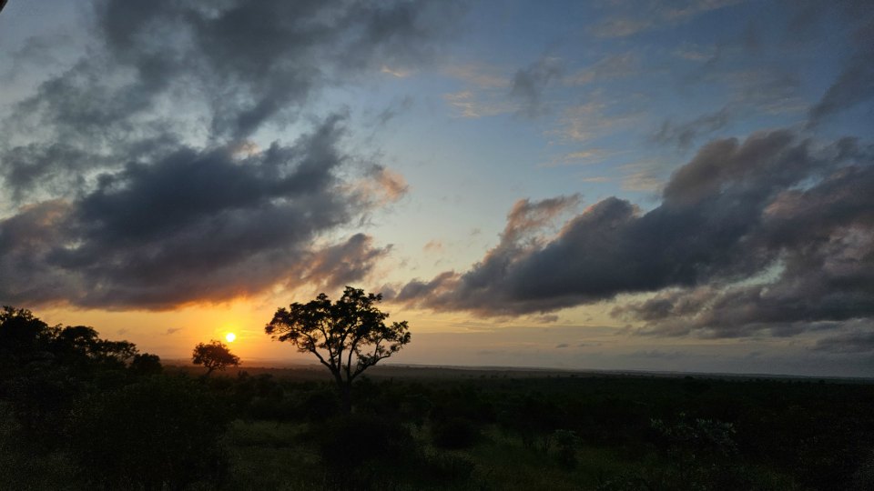 <h2>The Best of South Africa Escorted 2023</h2> 14 Nights | 6 Rounds | March 11 - 25